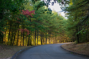 Leaving The Park At Sunset - Photo by Marylou Lavoie