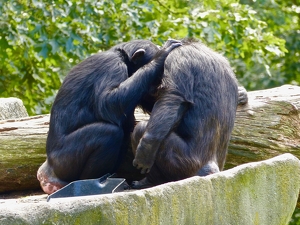 Let me call you sweetheart - Photo by Wendy Rosenberg