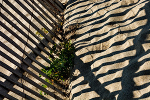 Lines in the Sand - Photo by Alene Galin