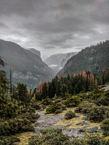 Class A 1st: Looking into Yosemite Valley by Jim Patrina