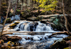 Lower Enders Falls - Photo by Frank Zaremba MNEC