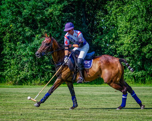 Making Contact - Photo by John McGarry