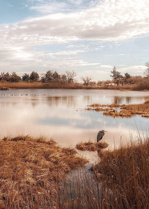 Meigs Point - Photo by Kristin Long