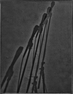 Mic shadows - Photo by Richard Busch