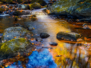 Mornings autum light at Enders - Photo by Frank Zaremba MNEC