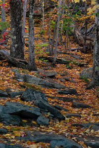 Mountain Hike - Photo by Alene Galin