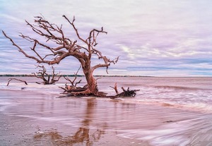 Moving clouds and water. Jekyll Is. - Photo by Richard Provost