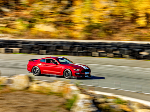 Class A 2nd: Mustangs on the Mountain, GT350 by Robert McCue