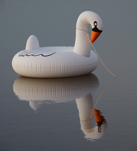 My Pond Float - Photo by Bill Latournes