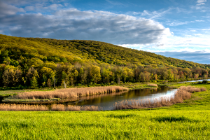 NY country - Photo by John Parisi