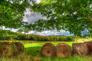 NY Countryside - Photo by John Parisi