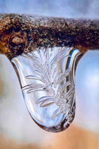 Nature as ice artist - Photo by Janice Oliveri