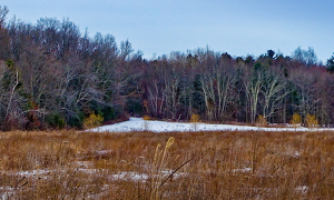 Near Hoskins - Photo by Bruce Metzger