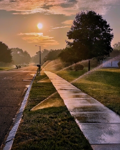 Neighborhood Awakening - Photo by Dolores Brown