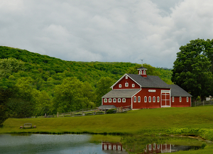 Class B 1st: new england  barn by Ginny Thibodeau