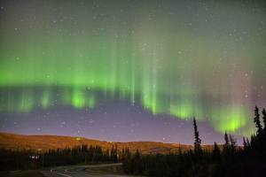 Night Lights - Photo by Ben Skaught