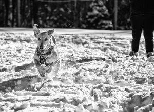 nora on the go - Photo by John Parisi