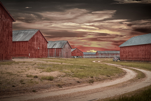 Salon 1st: Old Tobacco Sheds by Bill Payne