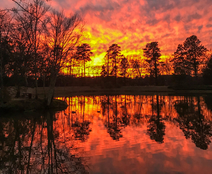 On Golden Pond - Photo by Jim Patrina