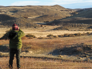 On the Lookout for Pumas - Photo by Quannah Leonard