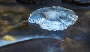 On The Rocks - Photo by Bob Ferrante