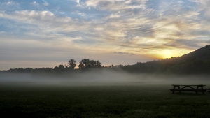 One Misty Morning - Photo by Quyen Phan