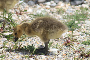 One of the Kids - Photo by James Haney