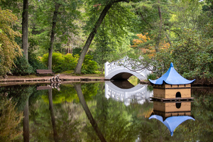 Class A HM: Oriental Garden Pond At Wickham Park by Marylou Lavoie