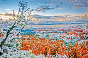 Overnight Snowfall - Photo by John McGarry