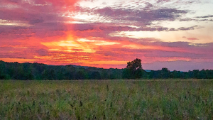 Painter's Dusk - Photo by Eric Wolfe