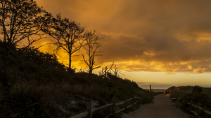 Path to Nauset Beach - Photo by Nancy Schumann