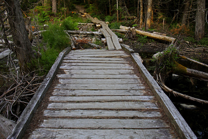 Pathway Baxter State Park - Photo by Bill Latournes