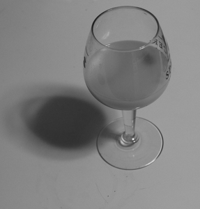 Perception- Half empty or Half Full - Photo by Harold Grimes