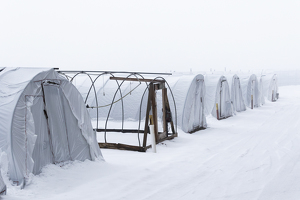 Plant Nursery in Winter (2) - Photo by Grace Yoder