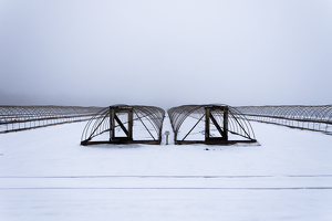 Plant Nursery in Winter - Photo by Grace Yoder