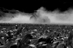 Plowing The Field In The Dust - Photo by Bill Latournes