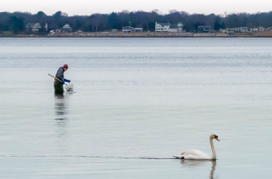 Quahogging on Narragansett Bay - Photo by Amy Keith