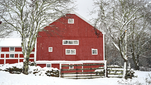 Quintessential New England - Photo by Edie Ryba