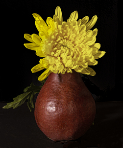 Quite The Pear - Photo by Mary Anne Sirkin