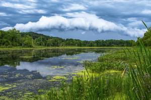 Rare Roll Cloud over the Water - Photo by Libby Lord