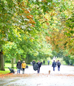 Regency Park Scene - Photo by Ed Raymond