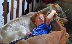 Resting at the county fair - Photo by Ron Thomas