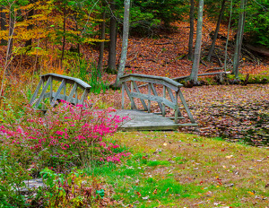 Rickety Bridge - Photo by Marylou Lavoie