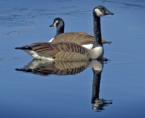 Right and Left - Photo by Bruce Metzger