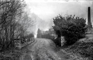 road to the end of the road - Photo by John Parisi