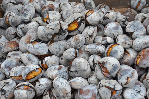 Roasted Chestnuts - Photo by Louis Arthur Norton