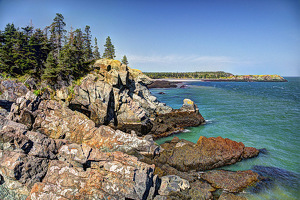 Rocky Shore - Photo by Dolph Fusco