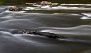 Rolling on the river - Photo by Ron Thomas