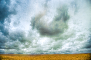 rooster in the sky - Photo by John Parisi