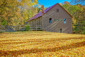 Roskear Farm - Photo by John McGarry